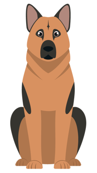 1449935_OMDogs with Transparent Backgrounds_18_090222