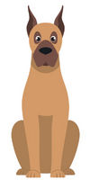 Great Dane