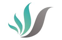 bexa transparent
